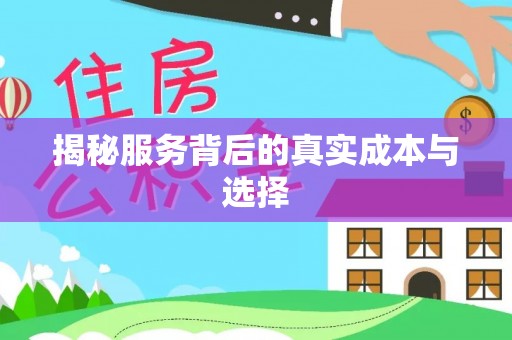 丛台揭秘服务背后的真实成本与选择