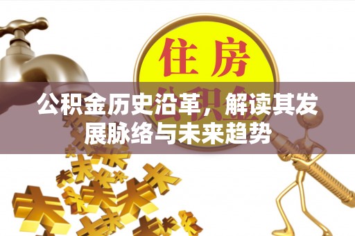 丛台公积金历史沿革，解读其发展脉络与未来趋势