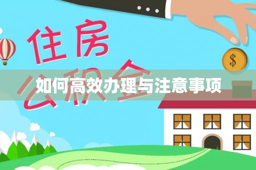 丛台如何高效办理与注意事项