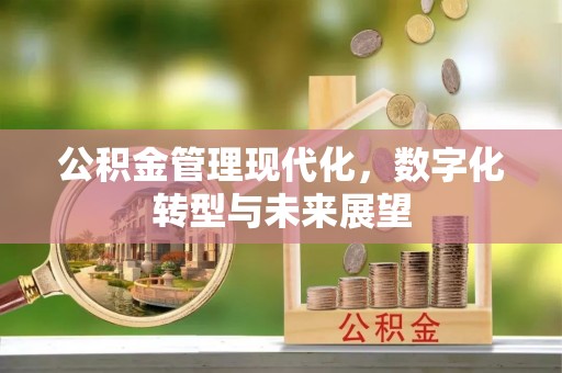 丛台公积金管理现代化，数字化转型与未来展望