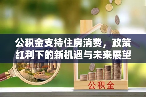 丛台公积金支持住房消费，政策红利下的新机遇与未来展望