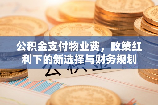 丛台公积金支付物业费，政策红利下的新选择与财务规划