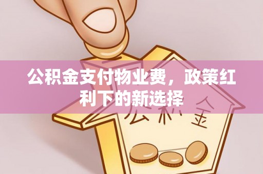 丛台公积金支付物业费，政策红利下的新选择