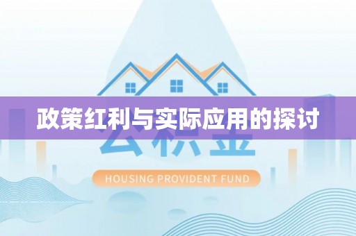 丛台政策红利与实际应用的探讨