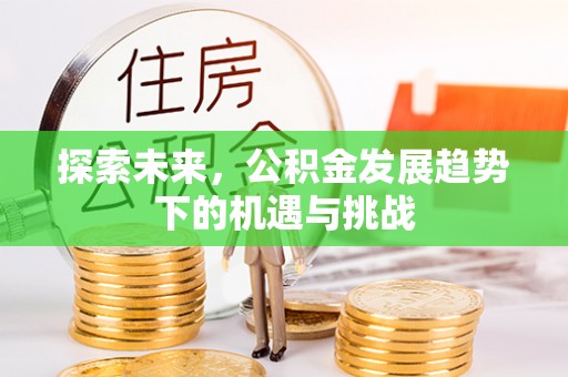 丛台探索未来，公积金发展趋势下的机遇与挑战