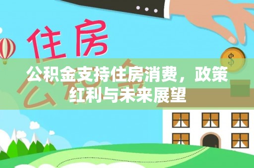 丛台公积金支持住房消费，政策红利与未来展望