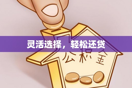 丛台灵活选择，轻松还贷