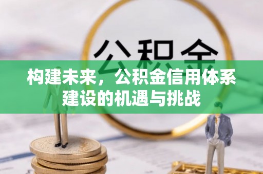 丛台构建未来，公积金信用体系建设的机遇与挑战