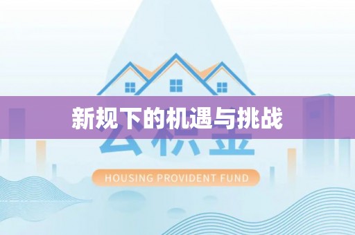 丛台新规下的机遇与挑战