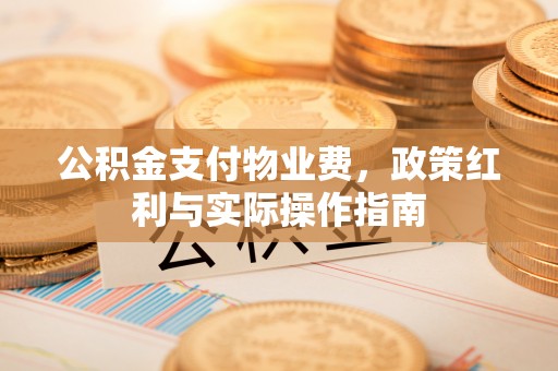 丛台公积金支付物业费，政策红利与实际操作指南