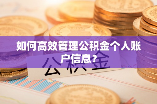 丛台如何高效管理公积金个人账户信息？