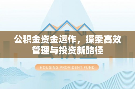 丛台公积金资金运作，探索高效管理与投资新路径