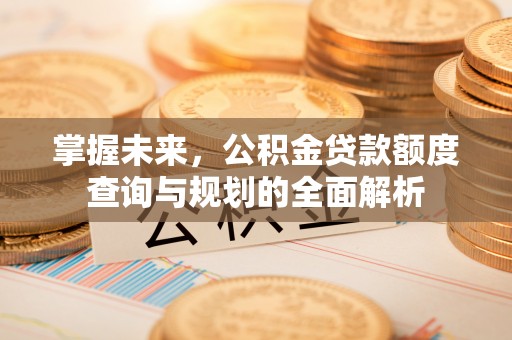 丛台掌握未来，公积金贷款额度查询与规划的全面解析