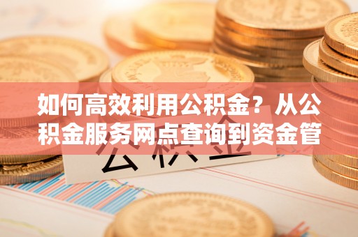 丛台如何高效利用公积金？从公积金服务网点查询到资金管理全攻略