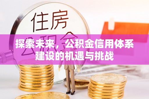 丛台探索未来，公积金信用体系建设的机遇与挑战