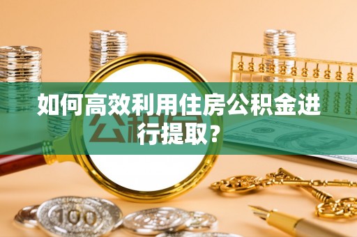 丛台如何高效利用住房公积金进行提取？