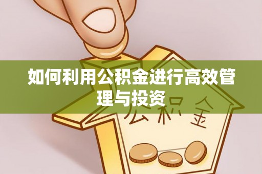 丛台如何利用公积金进行高效管理与投资