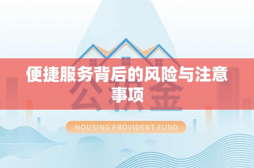 丛台便捷服务背后的风险与注意事项