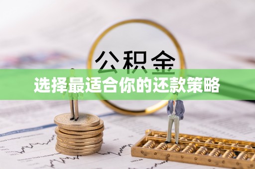 丛台选择最适合你的还款策略